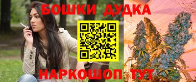 гашик Гудермес