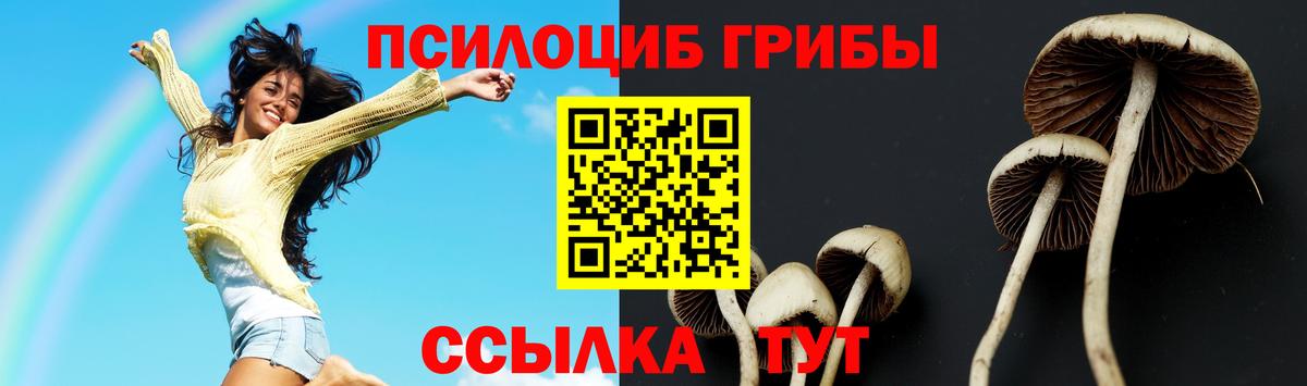Выборг  Галлюциногенные грибы Magic Shrooms  Вход с VPN 